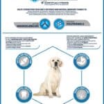 Advance Maxi Adult met kip en rijst hondenvoer – 14 kg