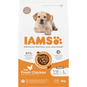IAMS Dog Puppy – Junior Large Kip – 3 kg