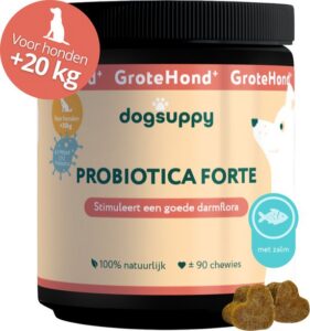 DogSuppy GroteHond⁺ Probiotica Forte – Met zalm – Ondersteunt Darmflora & Spijsvertering – 100% Natuurlijk – 90 snoepjes – Gras eten, Problemen met Ontlasting & Huidgevoeligheid – 4.5 miljard CFU Probiotica per snoepje – Voor Grote Honden + – 20 kg