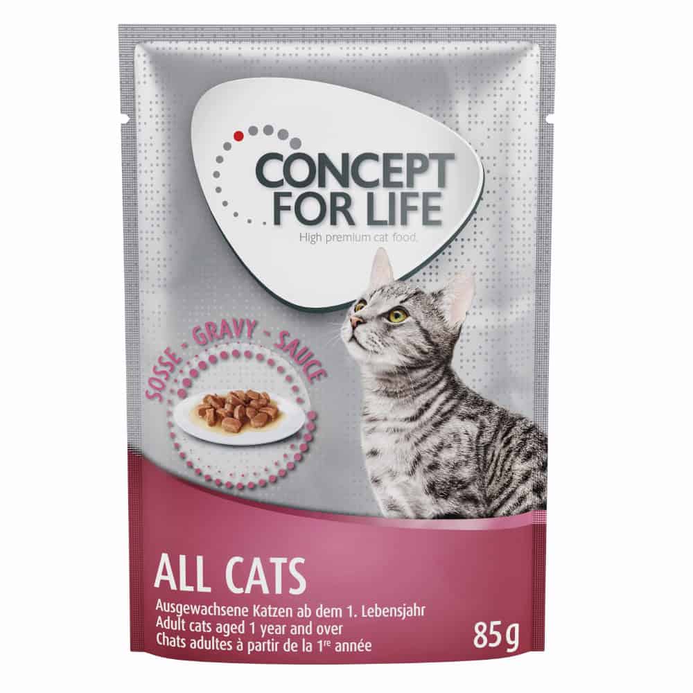 Concept for Life Indoor Cats All Cats in Saus Kattenvoer – 12 x 85 g