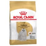 1,5kg Royal Canin Breed Maltezer Adult Hondenvoer droog