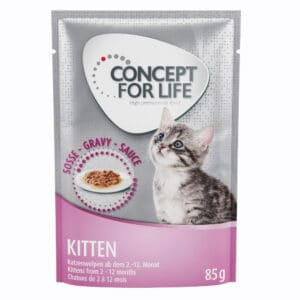 48x85g Kitten in Saus Concept for Life Kattenvoer