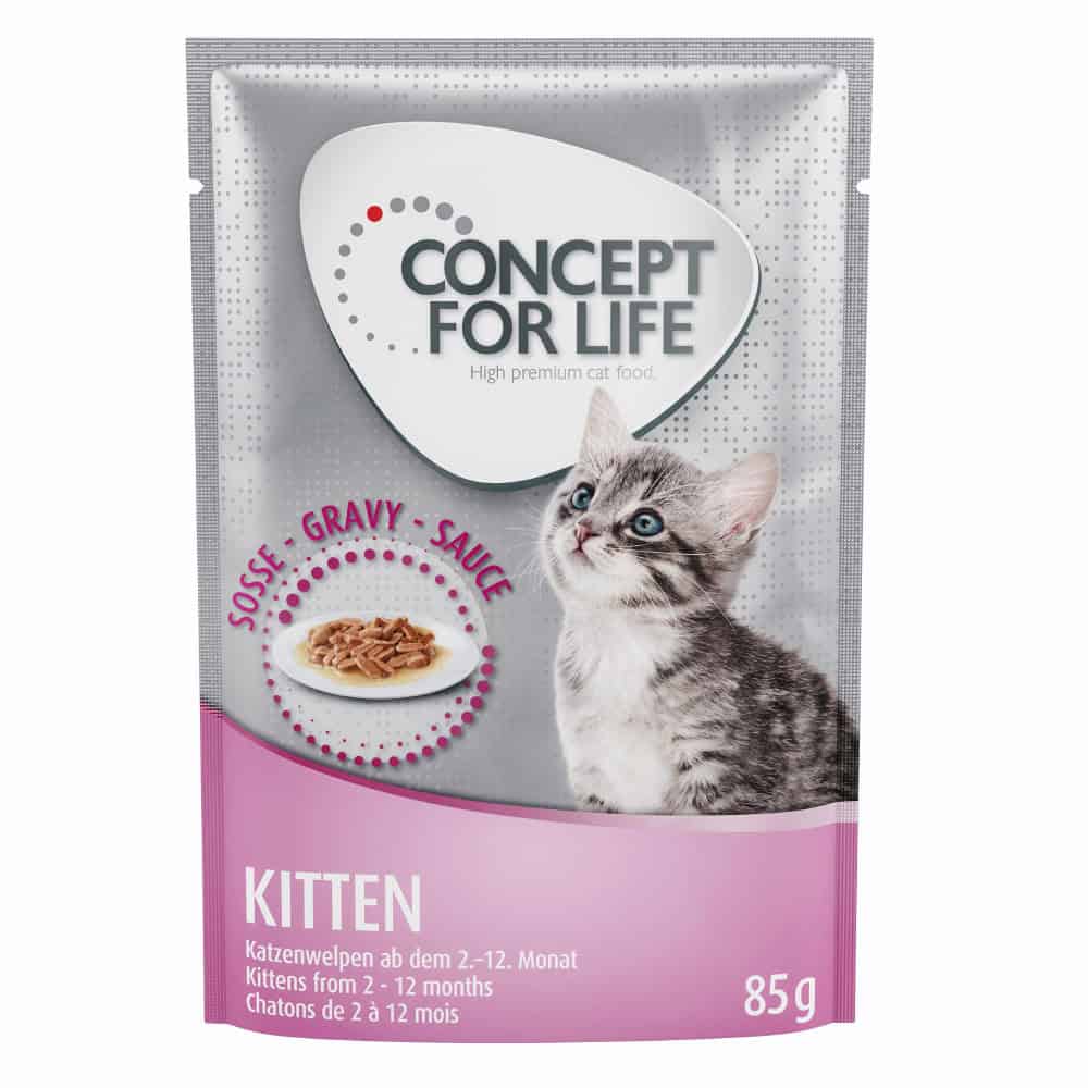 48x85g Kitten in Saus Concept for Life Kattenvoer