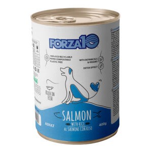 Forza10 Maintenance Dog Forza10 Onderhoud Zalm Rijst natvoer voor honden – 24 x 400 g