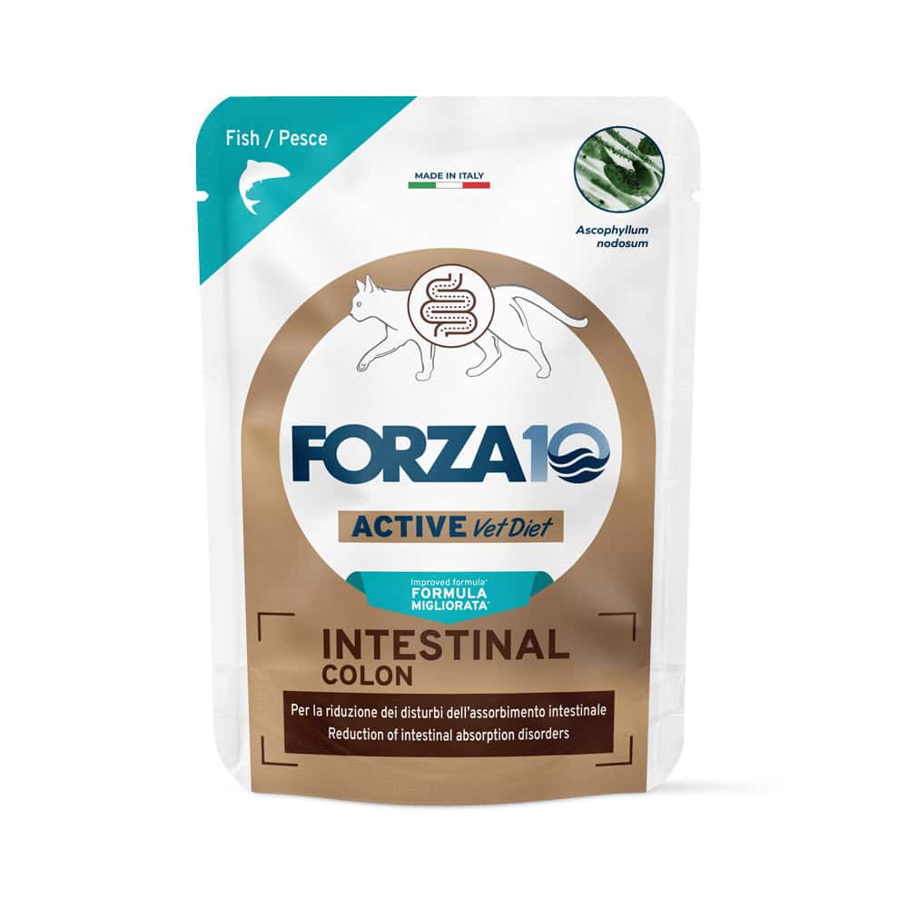 Forza10 Active Line Cat Forza 10 Intestinal Colon Active Vet Diet witvis nat kattenvoer – 12 x 80 g