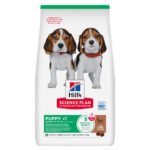 18kg Puppy