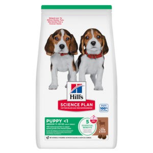 18kg Puppy