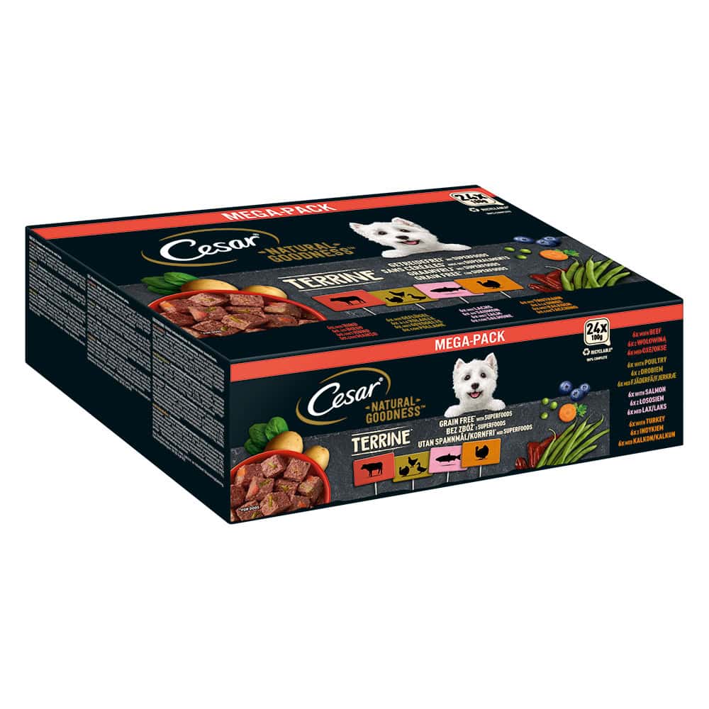 Cesar Natural Goodness Graanvrij met Superfoods Terrine Mix (gevogelte, kalkoen, rund, zalm) natvoer voor honden – 48 x 100 g