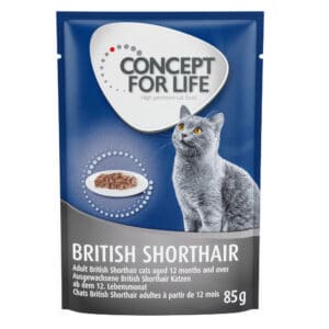 48x85g British Shorthair Adult (Ragout-Kwaliteit) Concept for Life Kattenvoer