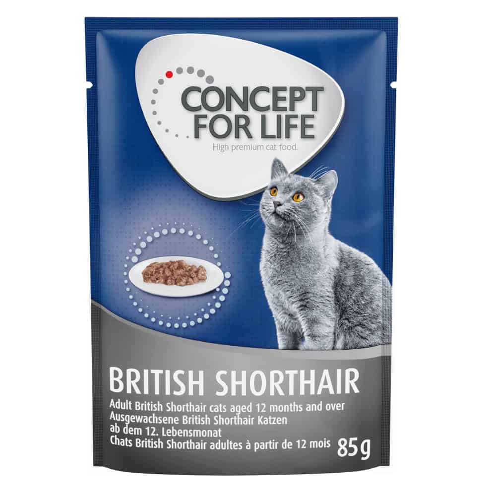 48x85g British Shorthair Adult (Ragout-Kwaliteit) Concept for Life Kattenvoer