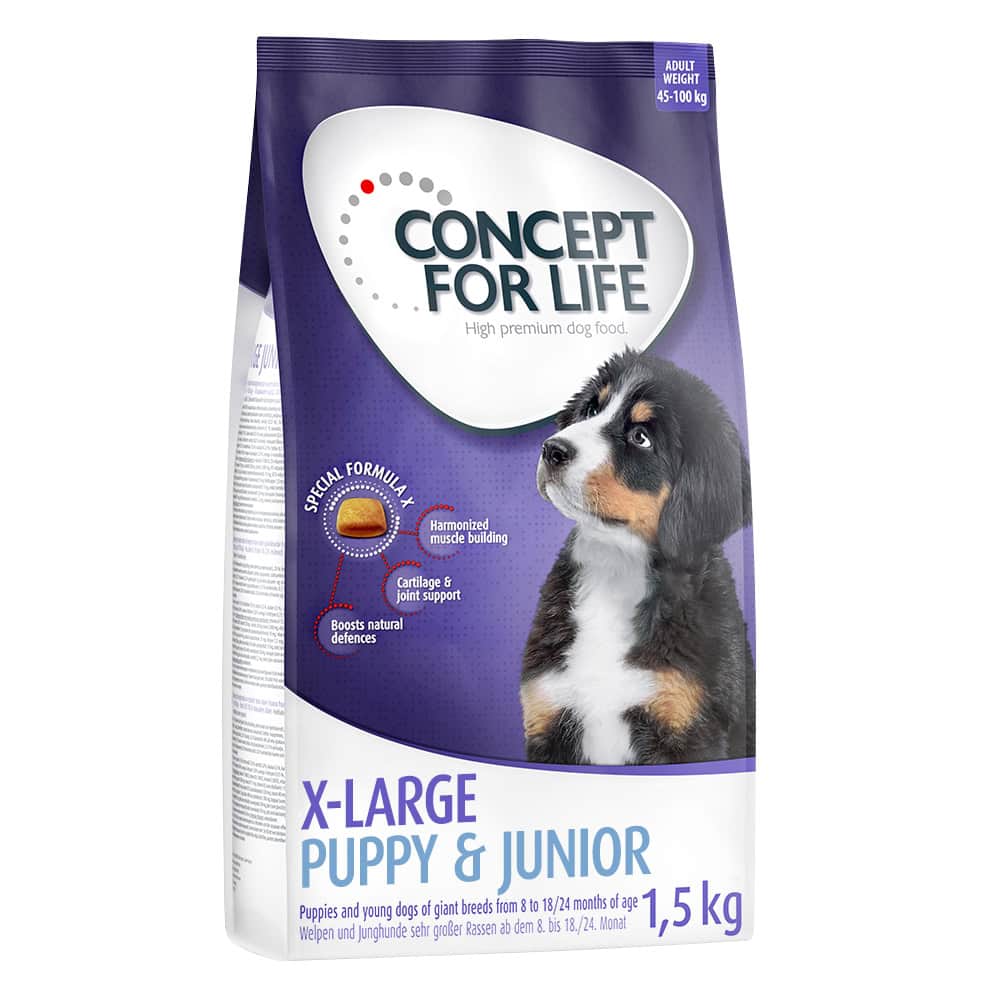 Concept for Life X-Large Junior Hondenvoer droog – 6 kg