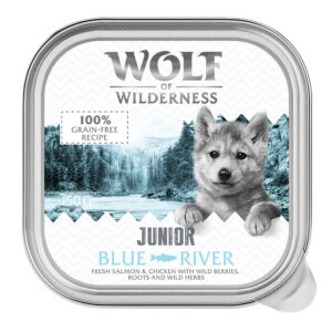Wolf of Wilderness Junior Blue River - Kip & Zalm graanvrij natvoer voor honden – 24 x 150 g