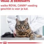 12x85g Royal Canin Veterinary Mature Consult Balance Kattenvoer nat