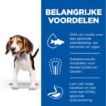 18kg Puppy