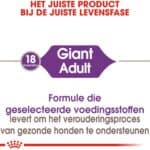 15 + 3kg Gratis! Giant Adult Royal Canin Hondenvoer
