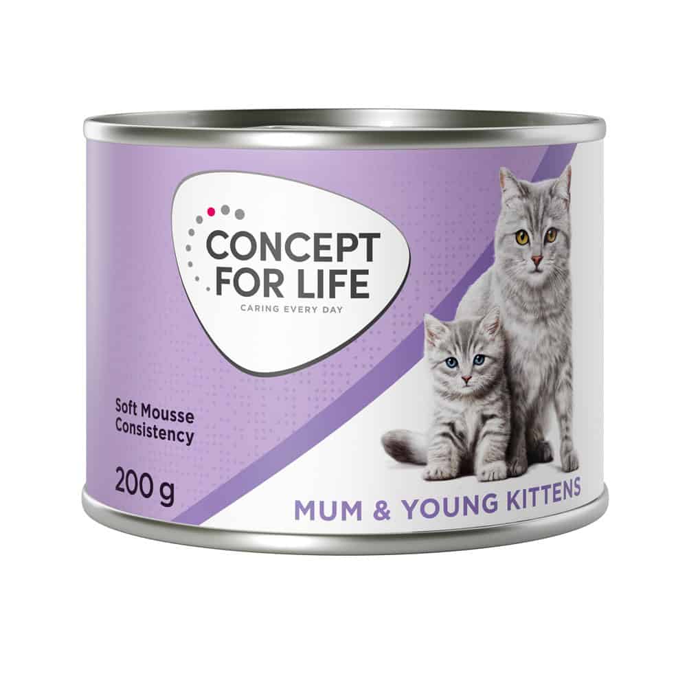 Concept for Life Mama & Jonge Kittens Mousse – Nieuw Receptuur: Voordeelpakket 24 x 200 g