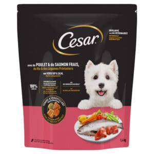 Dubbelpak: 2x1,4kg Cesar Adult met kip, zalm en groenten droogvoer voor honden