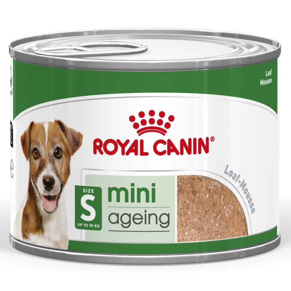 Voordeelpakket: 48x195g Royal Canin Mini Ageing Mousse natvoer voor honden