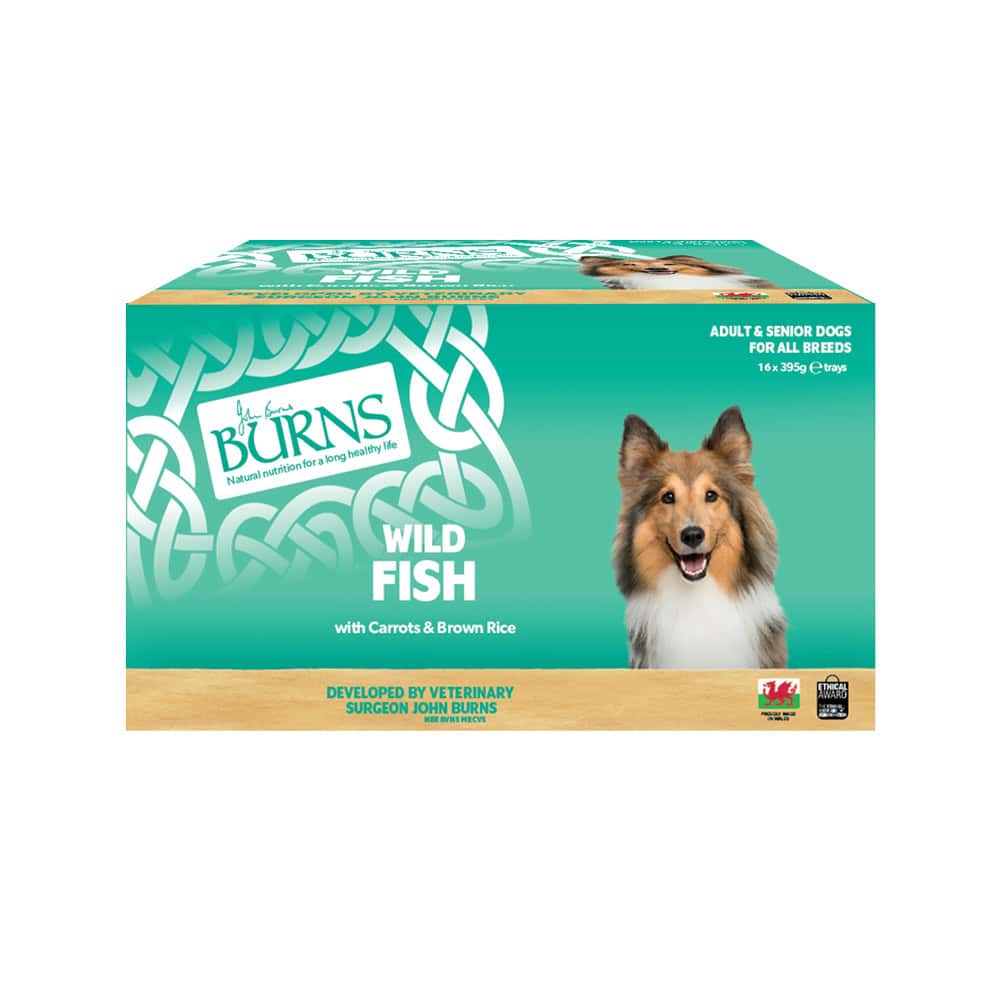 Burns natvoer voor honden 16 x 395 g – Vis