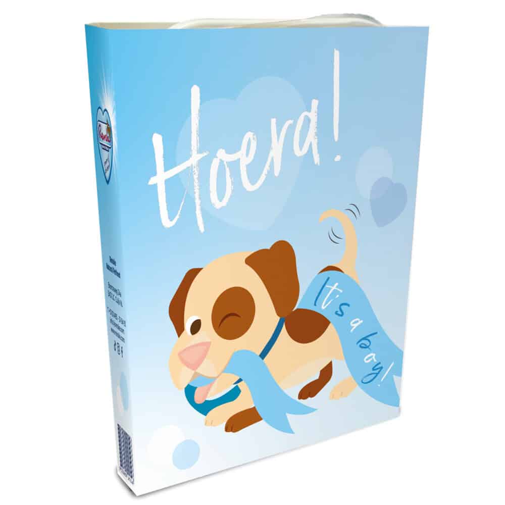 10x Renske Woef Gift It’s A Boy