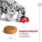 15 + 3kg Gratis! Medium Adult Royal Canin Hondenvoer