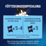 24x85g Smaakvariaties van het land Felix Sensations in Saus Kattenvoer