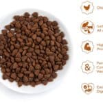 Thrive PremiumPlus Kip Kattenvoer – 1,5 kg