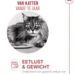 2kg Royal Canin Ageing 15+ droogvoer voor katten
