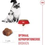 400g Mother & Babycat Royal Canin Kattenvoer