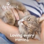 24x70g Tonijn met Krab Applaws Kattenvoer
