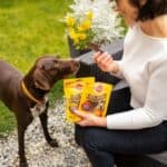 7x Pedigree Ranchos Original Hondensnacks Rund 70 gr