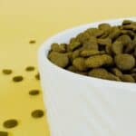 Nature’s Variety No Grain Adult Medium/Maxi Vrije uitloop kip – Dubbelpak: 2 x 12 kg