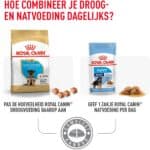 3kg German Shepherd Puppy Royal Canin Breed Hondenvoer
