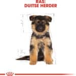 3kg German Shepherd Puppy Royal Canin Breed Hondenvoer