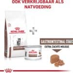 Royal Canin Veterinary Kitten Gastrointestinal Kattenvoer – Voordeelpakket: 24 x 195 g