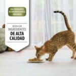 3x3kg Sterilised Senior Longevis Rijk aan Kalkoen Pro Plan Kattenvoer