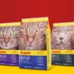 2x2kg Catelux Josera Kattenvoer