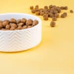 2 x 12 kg Trainer Natural Weight Care Medium / Maxi hondenvoer droog