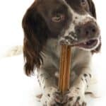Whimzees Stix S – Kauwsnacks – Hond – 11,9cm – 24st