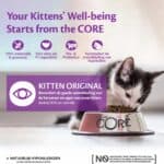 Wellness Core Kattenvoer Kitten Kalkoen – Zalm 300 gr