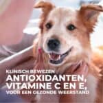 Hill’s Mature Adult 7+ Medium met Kip Science Plan Hondenvoer – 18 kg
