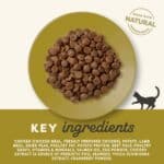 Applaws Adult Kip met Lam Kattenvoer – 2 kg