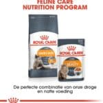 400g Hair & Skin Care Royal Canin Kattenvoer