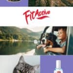 Fit Active FitActive Pure Hypoallergenic everzwijn & rozenbottel hondenvoer droog – 12 kg