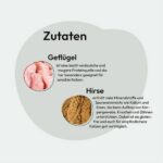 Droogvoer voor katten met gevogelte en gierst – Glutenvrij – 2 kg