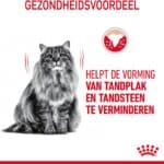 400g Oral Care Royal Canin Kattenvoer