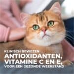 24x85g Feline Maaltijdzakjes Kip Hill’s Science Plan Kattenvoer