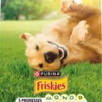 3x3kg Purina FRISKIES Balance dog met kip, rundvlees en groenten droogvoer voor honden