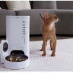 Petkit YumShare Solo met camera tot 3 liter droogvoer voor katten