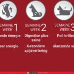 2x 2,5kg Purina ONE Medium/Maxi Weight Control Sterilised Truthahn Hundefutter trocken